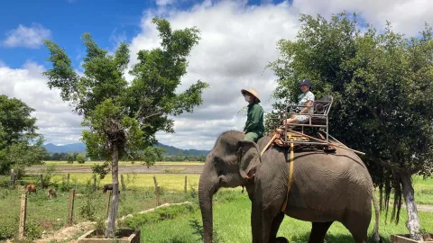 A brain teaser: what weighs more – a cloud or an elephant?