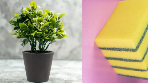 Зачем класть в цветочный горшок старую кухонную губку