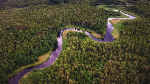 Аномалия Амазонки: через крупнейшую реку в мире нет ни одного моста – и вот почему