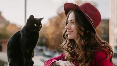 Eye to eye: what cat hypnosis is and how it helps build a bond with your four-legged friend